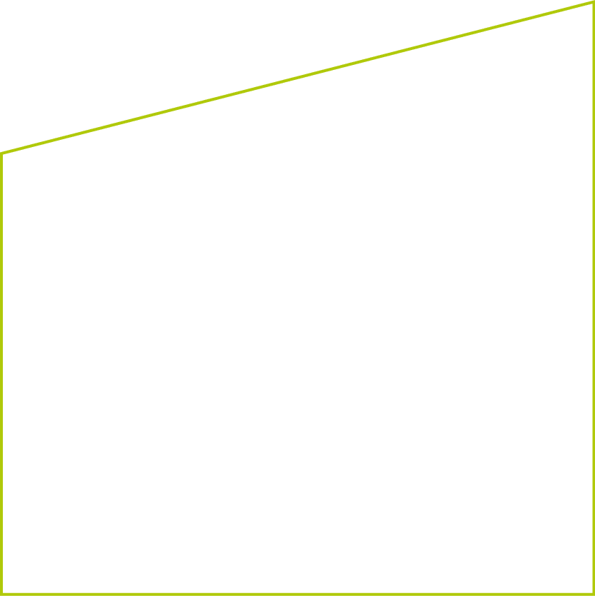 Polygon